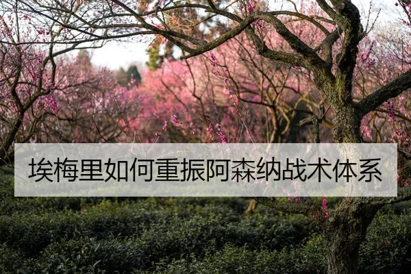 埃梅里如何重振阿森纳战术体系